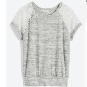 Le Lis gray and cream lace blouse